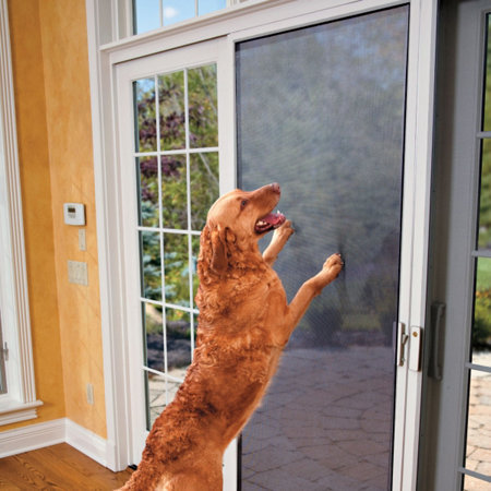 PetScreen®: Dog & Cat-Proof Screens